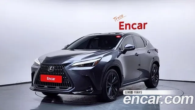 Lexus NX Premium, миниатюра 13