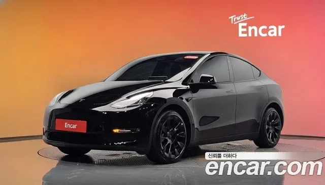 Tesla Y AWD, миниатюра 6