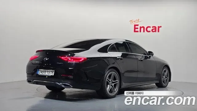 Mercedes-Benz CLS CLS300d 4MATIC, миниатюра 12
