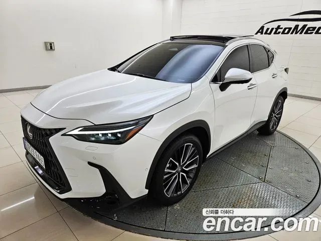 Lexus NX, миниатюра 17