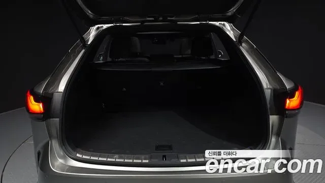 Lexus RX, миниатюра 18