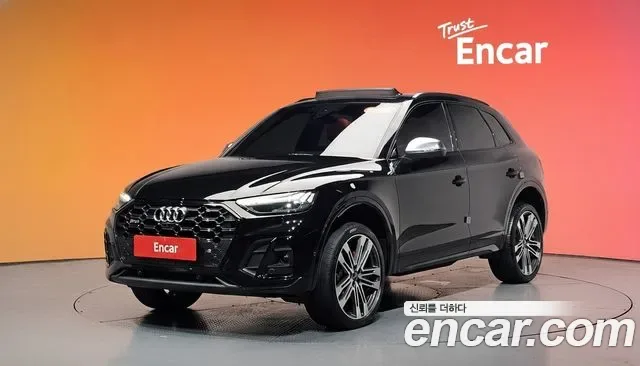 Audi SQ5 3.0 TFSI, миниатюра 25