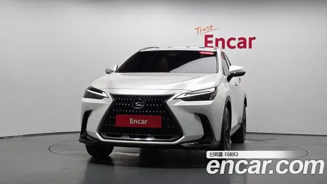 Lexus NX Premium, миниатюра 11
