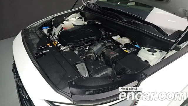 Hyundai Santa FE дизель 2.2 2WD Calligraphy, миниатюра 16
