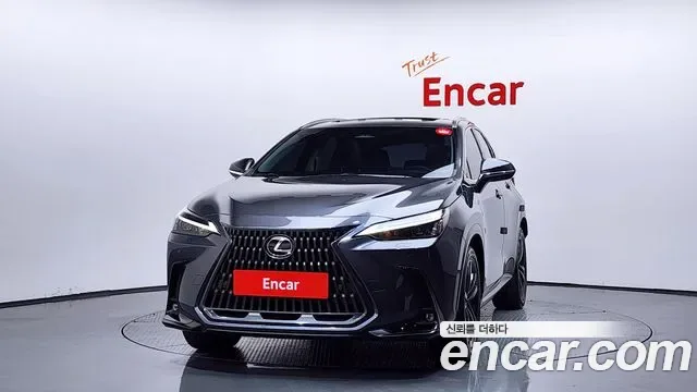 Lexus NX Premium, миниатюра 10