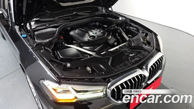 BMW 5 (G30) 523d xDrive, миниатюра 13