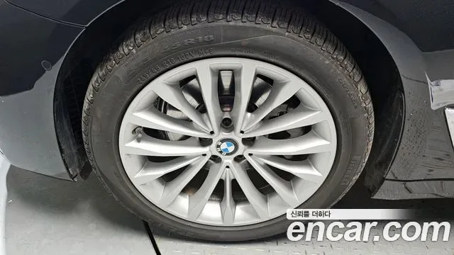 BMW 5 (G30) 520i, миниатюра 18