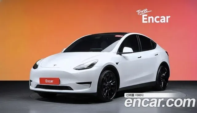 Tesla Y AWD, миниатюра 8