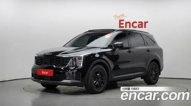 Kia Sorento HEV 1.6 2WD Gravity, миниатюра 25