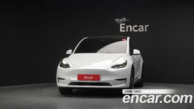 Tesla Y AWD, миниатюра 17