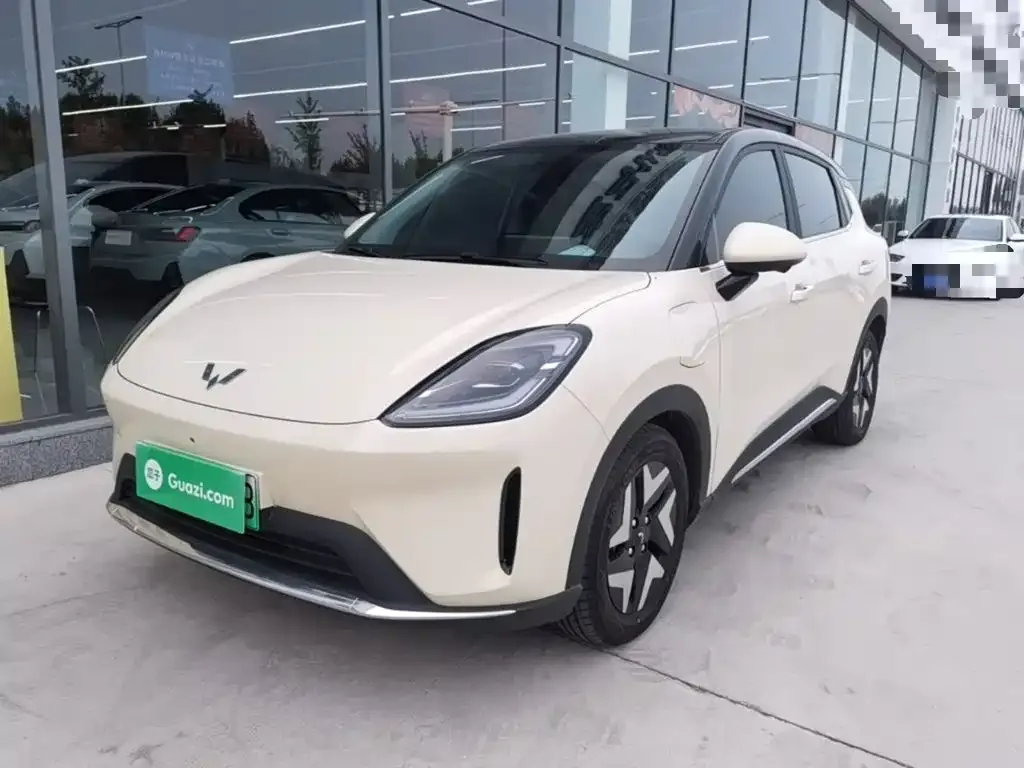 Wuling Bingo S