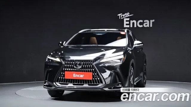 Lexus NX Premium, миниатюра 28