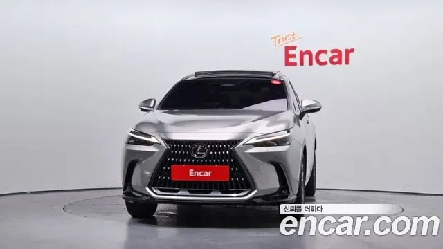 Lexus NX, миниатюра 19