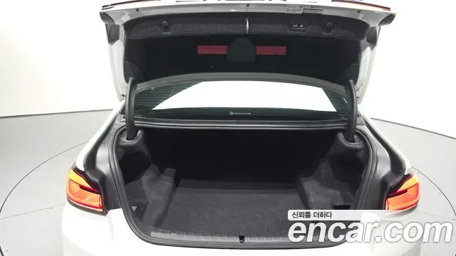 BMW 5 (G30) 520d M, миниатюра 12