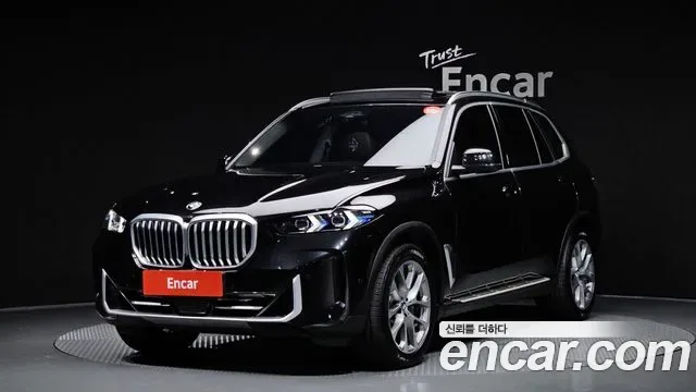 BMW X5 xDrive 30d xLine, миниатюра 11