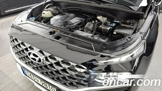 Hyundai Santa FE дизель 2.2 4WD Calligraphy, миниатюра 6