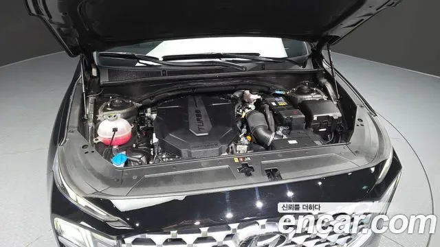Hyundai Santa FE дизель 2.2 2WD Premium, миниатюра 20