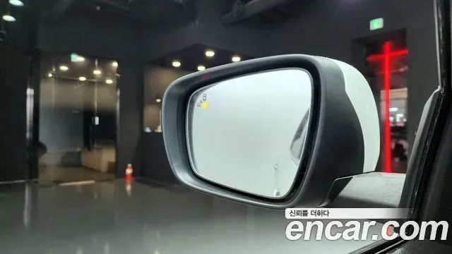 Renault QM6 2.0 LPe RE 2WD, миниатюра 12