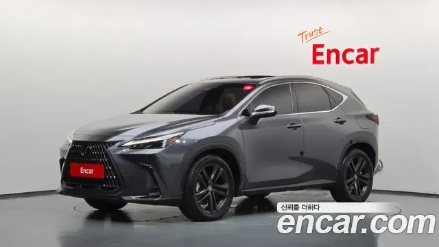 Lexus NX Premium, миниатюра 8
