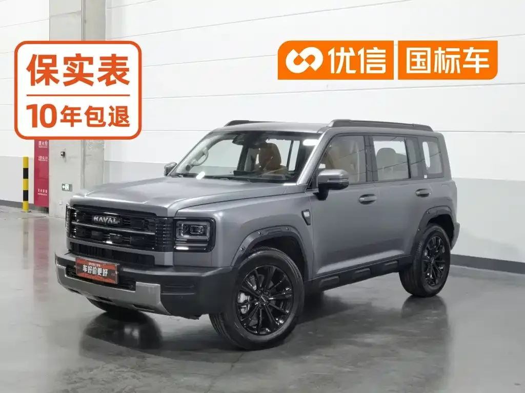 Haval Meng Long NEV