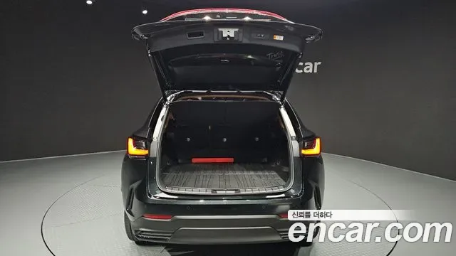 Lexus NX Premium, миниатюра 27
