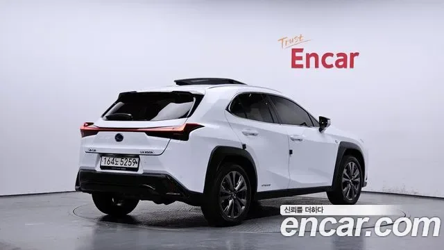 Lexus UX 2.0 F-Sport 2WD, миниатюра 10
