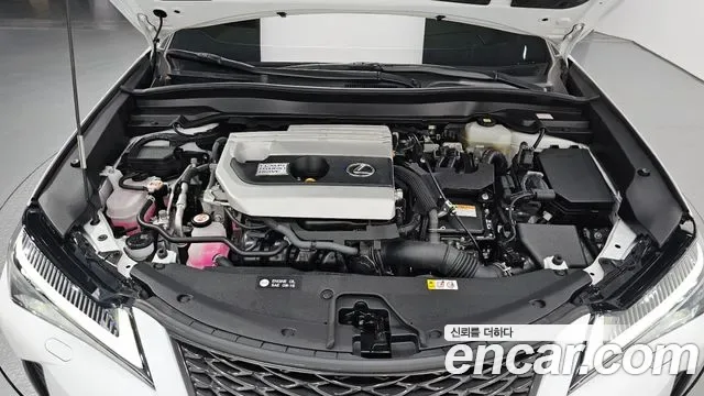 Lexus UX 2.0 F-Sport 2WD, миниатюра 12