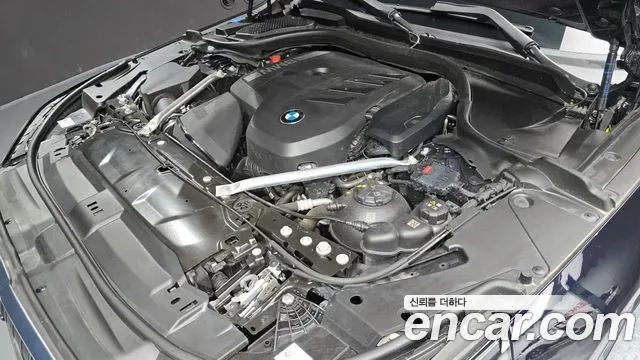 BMW 5 (G60) 520i M, миниатюра 20