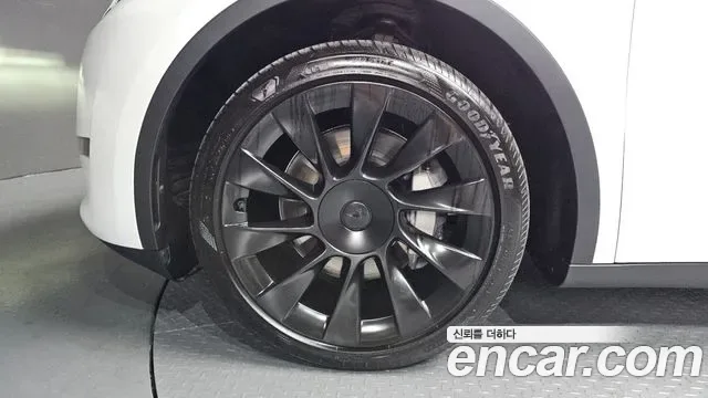 Tesla Y AWD, миниатюра 20