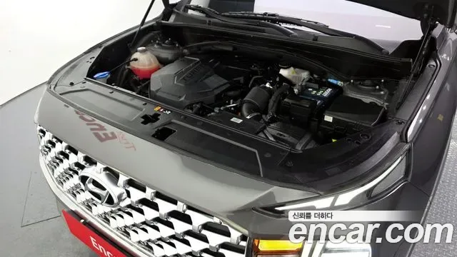Hyundai Santa FE дизель 2.2 2WD Premium, миниатюра 8
