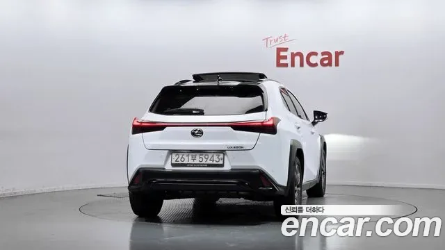 Lexus UX 2.0 F-Sport 2WD, миниатюра 10