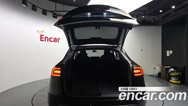 Tesla Y AWD, миниатюра 6