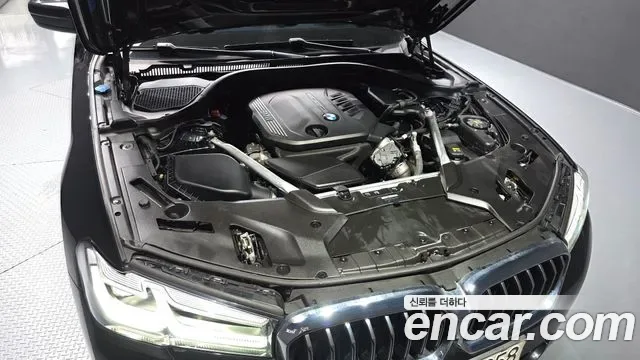 BMW 5 (G30) 523d, миниатюра 4
