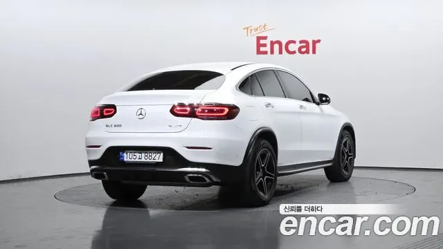 Mercedes-Benz GLC GLC300 4MATIC, миниатюра 19