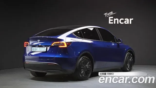 Tesla Y AWD, миниатюра 17