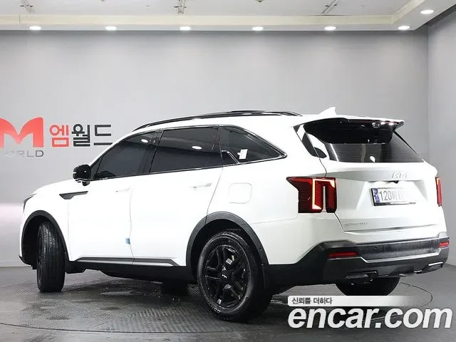 Kia Sorento HEV 1.6 2WD Gravity, миниатюра 19