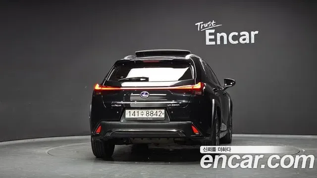 Lexus UX 2.0 F-Sport 2WD, миниатюра 21