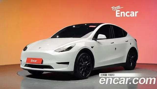Tesla Y RWD, миниатюра 12