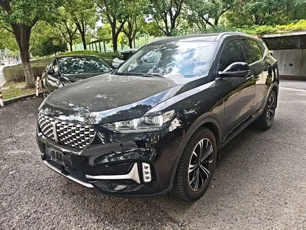 WEY VV6